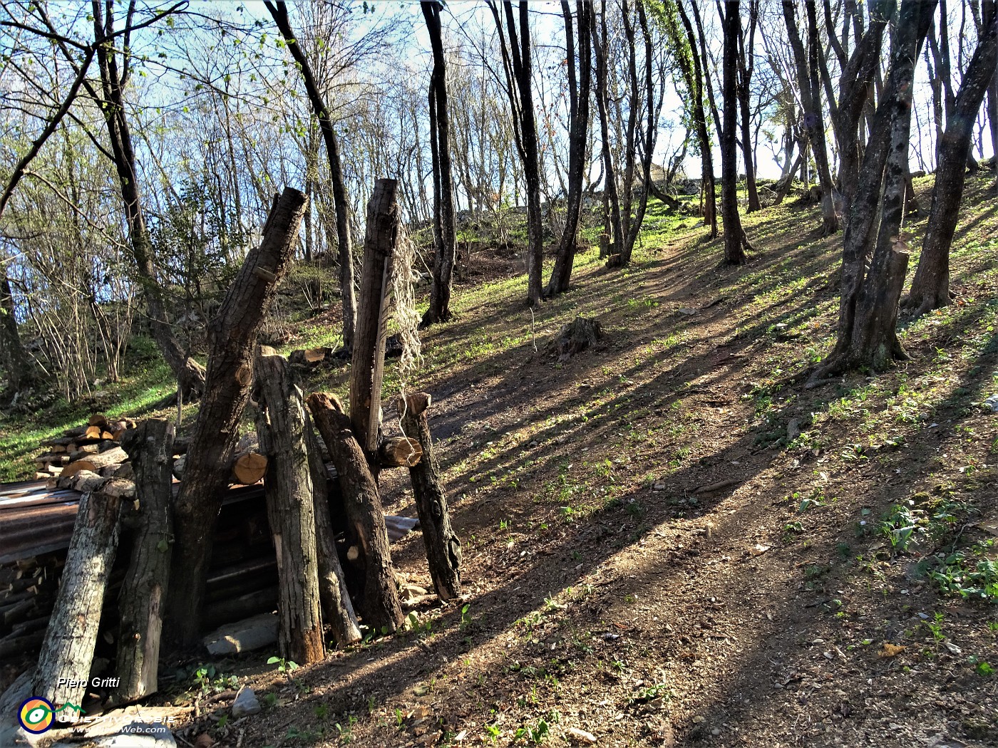 42 Lascio il sent. 504 e risalgo a sx verso la baita e il roccolo di Colle Pradali (850 m).JPG